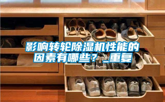 影響轉(zhuǎn)輪除濕機性能的因素有哪些？_重復