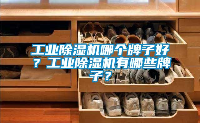 工業(yè)除濕機(jī)哪個(gè)牌子好？工業(yè)除濕機(jī)有哪些牌子？