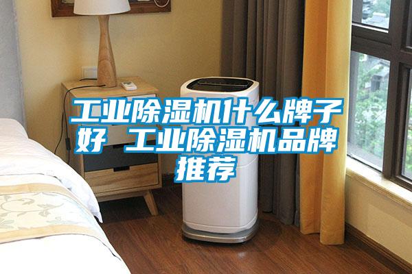 工業(yè)除濕機什么牌子好 工業(yè)除濕機品牌推薦