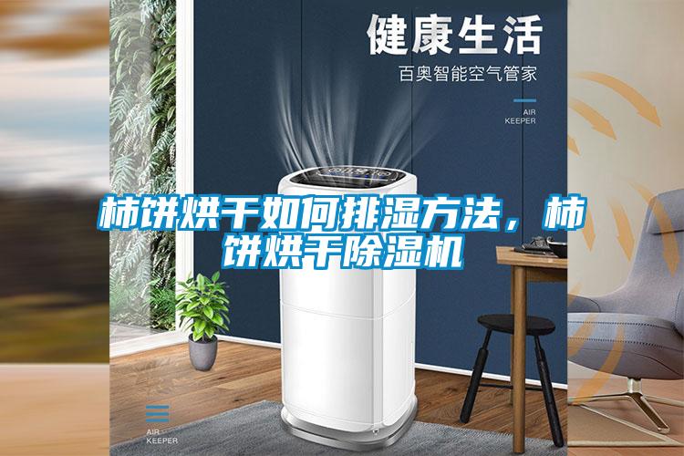 柿餅烘干如何排濕方法，柿餅烘干除濕機