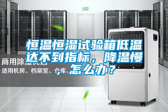 恒溫恒濕試驗(yàn)箱低溫達(dá)不到指標(biāo)，降溫慢，怎么辦？