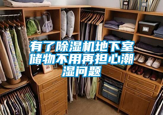 有了除濕機(jī)地下室儲(chǔ)物不用再擔(dān)心潮濕問(wèn)題