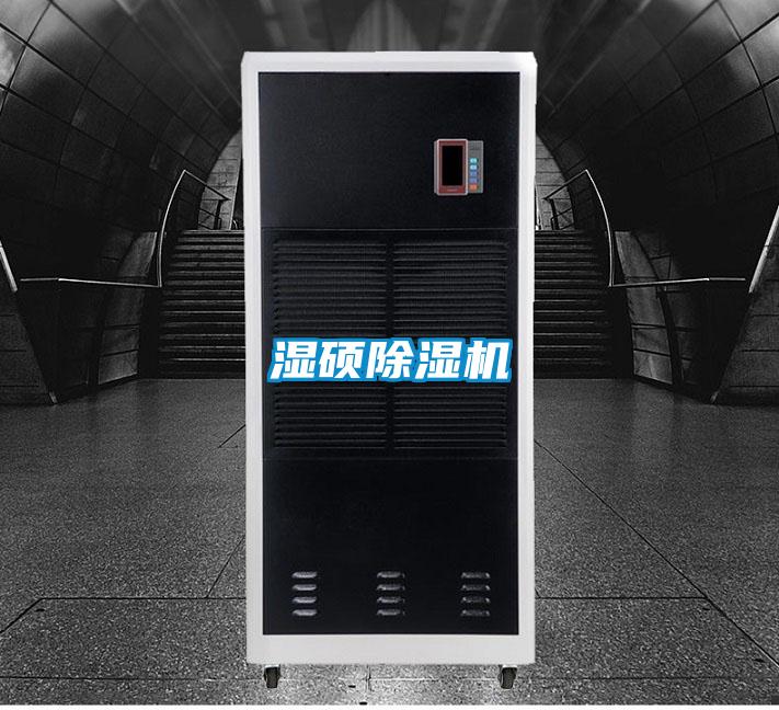 濕碩除濕機