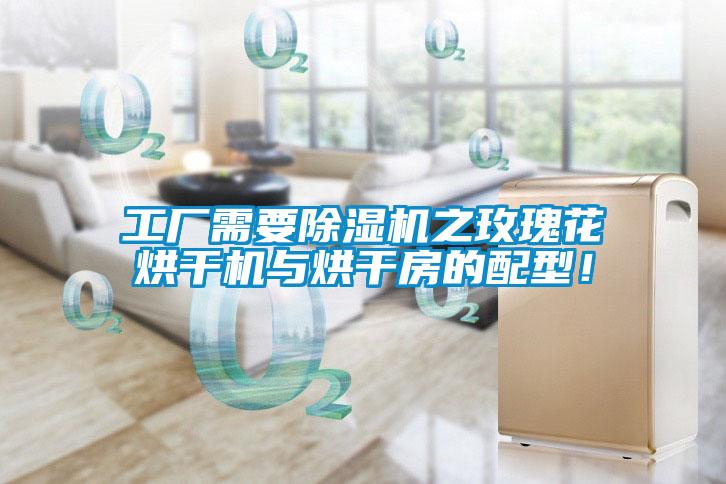 工廠需要除濕機之玫瑰花烘干機與烘干房的配型！