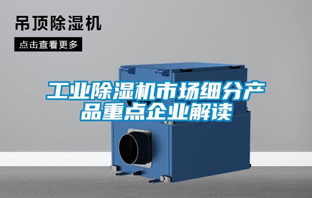 工業(yè)除濕機(jī)市場細(xì)分產(chǎn)品重點(diǎn)企業(yè)解讀