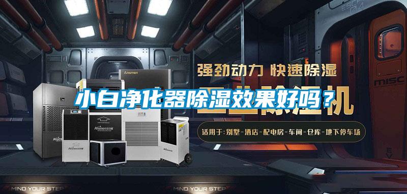 小白凈化器除濕效果好嗎？