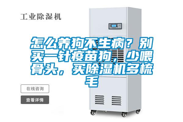 怎么養(yǎng)狗不生??？別買一針疫苗狗，少喂骨頭，買除濕機(jī)多梳毛