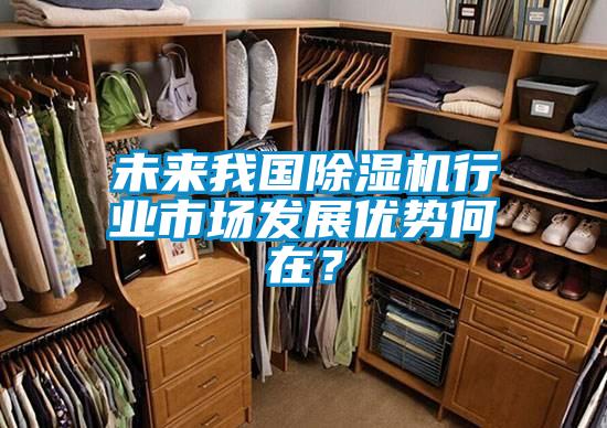 未來(lái)我國(guó)除濕機(jī)行業(yè)市場(chǎng)發(fā)展優(yōu)勢(shì)何在？
