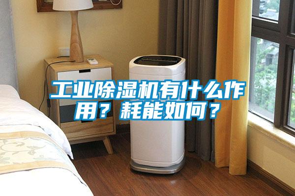 工業(yè)除濕機(jī)有什么作用？耗能如何？
