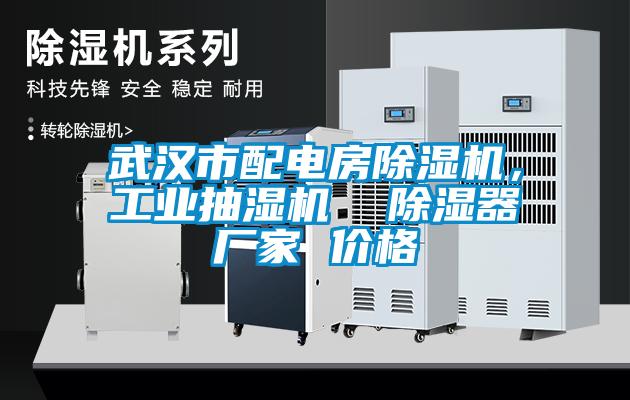 武漢市配電房除濕機(jī)，工業(yè)抽濕機(jī)  除濕器廠家 價(jià)格