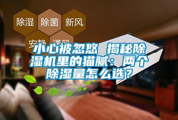 小心被忽悠 揭秘除濕機(jī)里的貓膩：兩個除濕量怎么選？