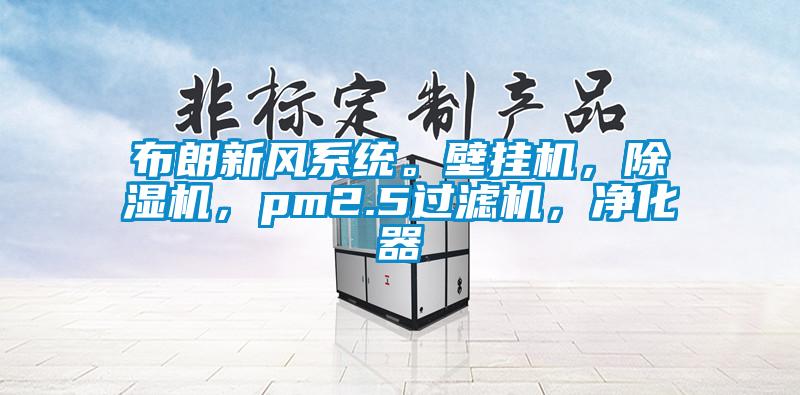 布朗新風(fēng)系統(tǒng)。壁掛機(jī)，除濕機(jī)，pm2.5過(guò)濾機(jī)，凈化器
