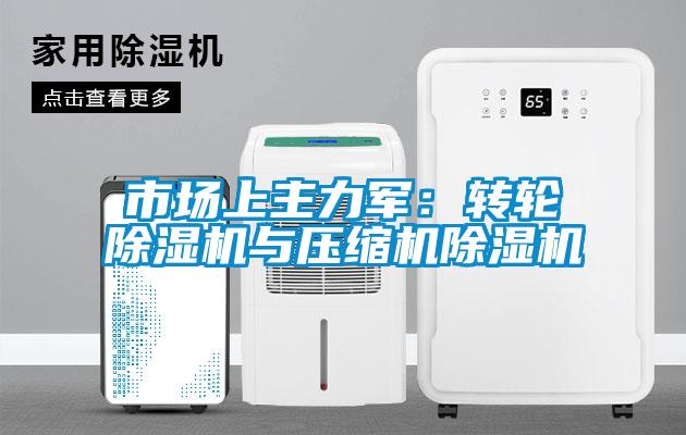 市場上主力軍：轉(zhuǎn)輪除濕機與壓縮機除濕機