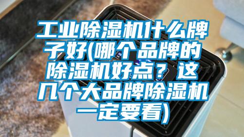 工業(yè)除濕機(jī)什么牌子好(哪個(gè)品牌的除濕機(jī)好點(diǎn)？這幾個(gè)大品牌除濕機(jī)一定要看)