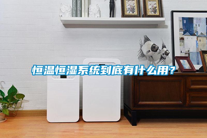 恒溫恒濕系統(tǒng)到底有什么用？