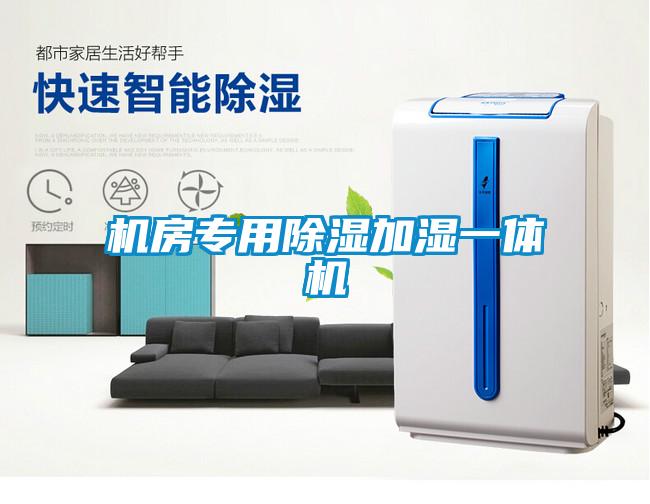 機(jī)房專(zhuān)用除濕加濕一體機(jī)