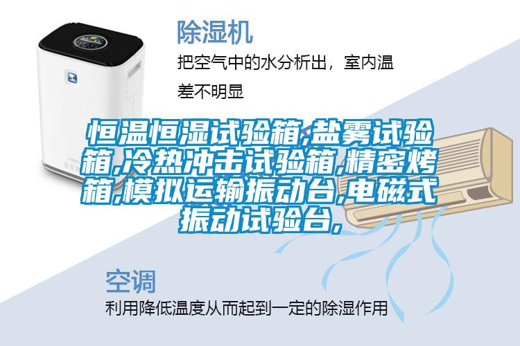 恒溫恒濕試驗(yàn)箱,鹽霧試驗(yàn)箱,冷熱沖擊試驗(yàn)箱,精密烤箱,模擬運(yùn)輸振動(dòng)臺(tái),電磁式振動(dòng)試驗(yàn)臺(tái),