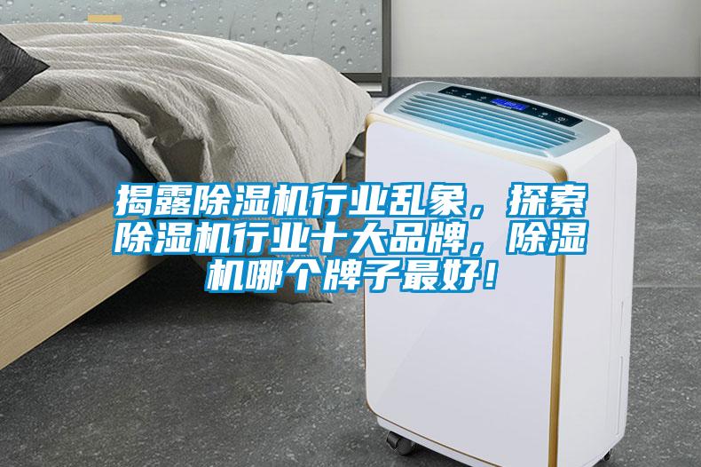 揭露除濕機行業(yè)亂象，探索除濕機行業(yè)十大品牌，除濕機哪個牌子最好！