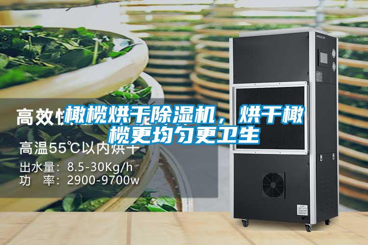 橄欖烘干除濕機，烘干橄欖更均勻更衛(wèi)生