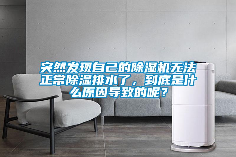 突然發(fā)現(xiàn)自己的除濕機(jī)無(wú)法正常除濕排水了，到底是什么原因?qū)е碌哪兀?/></p>
<p style=