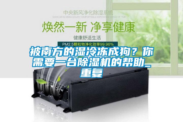 被南方的濕冷凍成狗？你需要一臺(tái)除濕機(jī)的幫助_重復(fù)