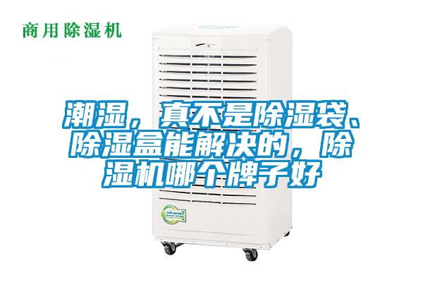 潮濕，真不是除濕袋、除濕盒能解決的，除濕機(jī)哪個牌子好