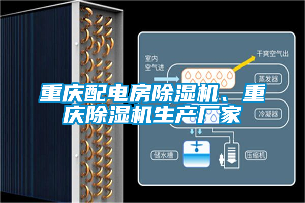 重慶配電房除濕機、重慶除濕機生產廠家