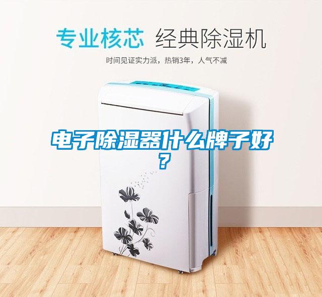 電子除濕器什么牌子好？