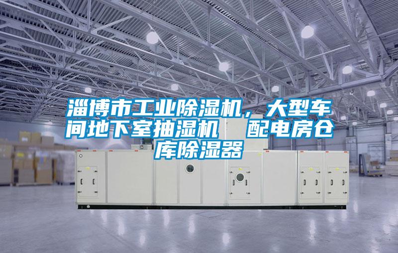 淄博市工業(yè)除濕機(jī)，大型車間地下室抽濕機(jī)  配電房倉庫除濕器