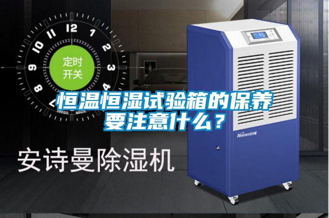 恒溫恒濕試驗(yàn)箱的保養(yǎng)要注意什么？