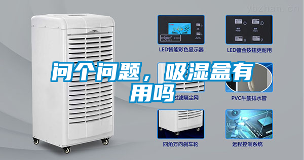 問個(gè)問題，吸濕盒有用嗎