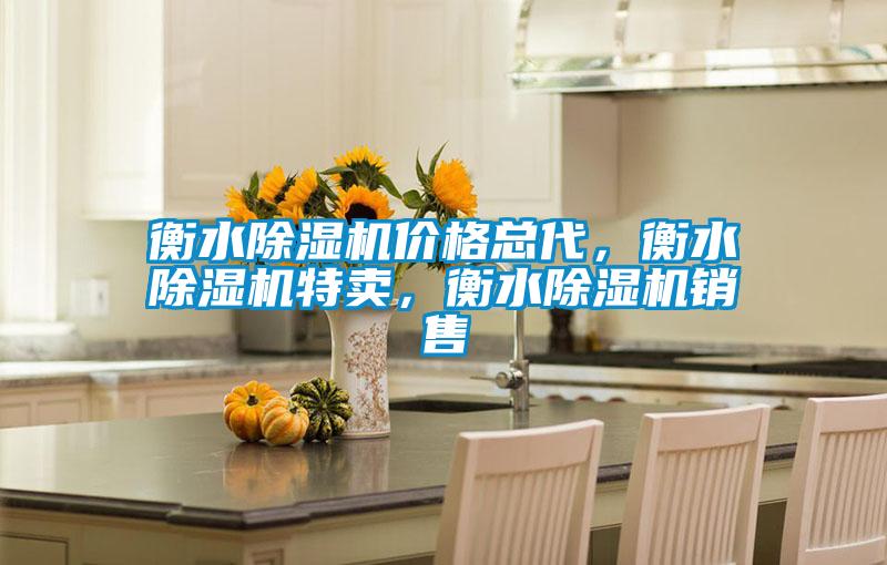 衡水除濕機價格總代，衡水除濕機特賣，衡水除濕機銷售
