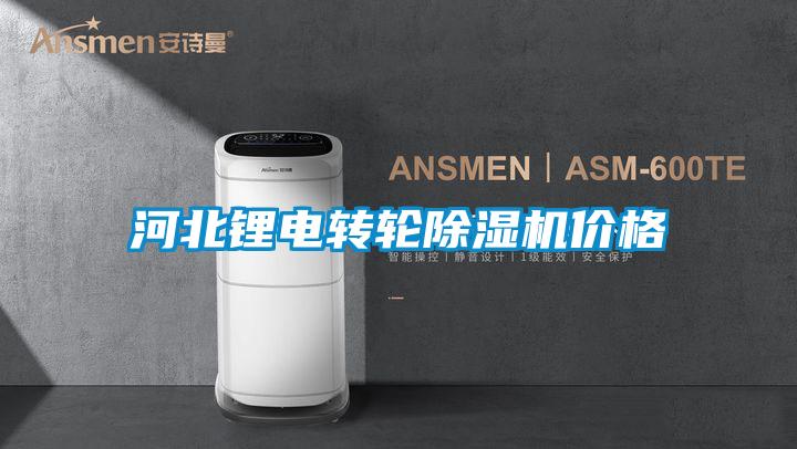 河北鋰電轉(zhuǎn)輪除濕機(jī)價格