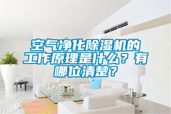 空氣凈化除濕機(jī)的工作原理是什么？有哪位清楚？