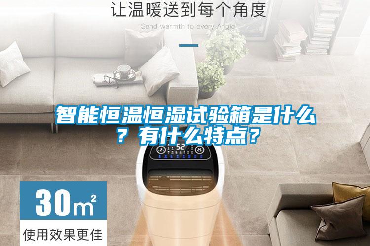 智能恒溫恒濕試驗(yàn)箱是什么？有什么特點(diǎn)？