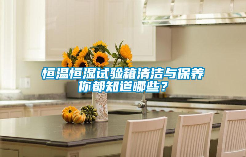 恒溫恒濕試驗(yàn)箱清潔與保養(yǎng)你都知道哪些？