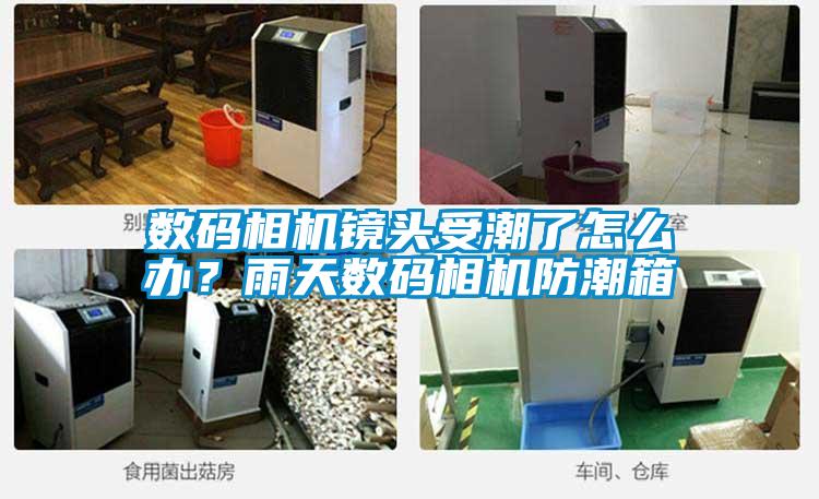 數(shù)碼相機(jī)鏡頭受潮了怎么辦？雨天數(shù)碼相機(jī)防潮箱