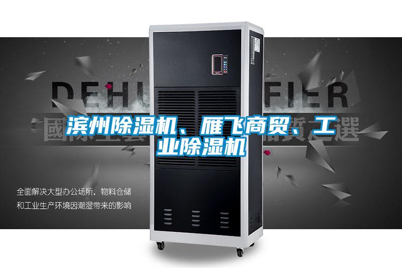 濱州除濕機、雁飛商貿(mào)、工業(yè)除濕機