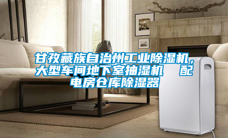 甘孜藏族自治州工業(yè)除濕機(jī)，大型車(chē)間地下室抽濕機(jī)  配電房倉(cāng)庫(kù)除濕器