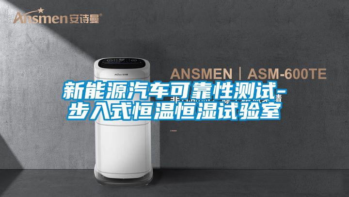 新能源汽車可靠性測試-步入式恒溫恒濕試驗(yàn)室