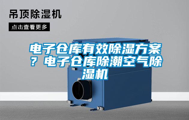 電子倉庫有效除濕方案？電子倉庫除潮空氣除濕機(jī)