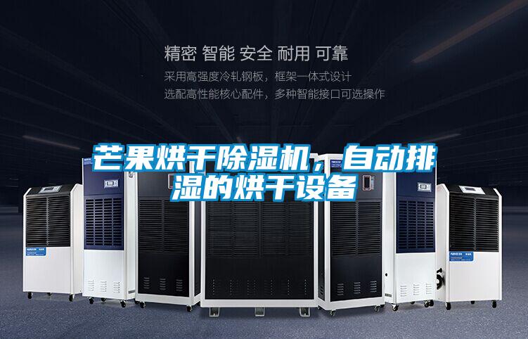 芒果烘干除濕機，自動排濕的烘干設(shè)備