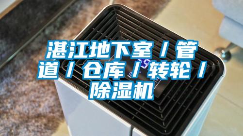 湛江地下室／管道／倉庫／轉(zhuǎn)輪／除濕機