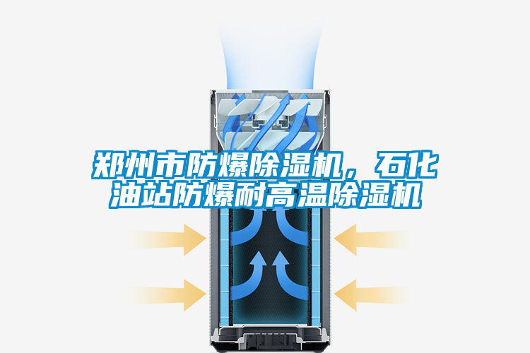 鄭州市防爆除濕機(jī)，石化油站防爆耐高溫除濕機(jī)