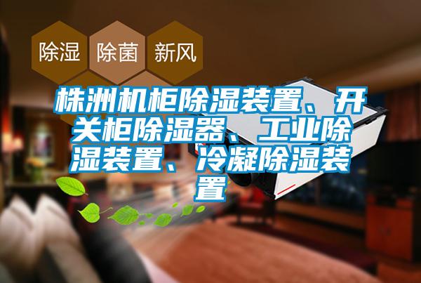 株洲機(jī)柜除濕裝置、開關(guān)柜除濕器、工業(yè)除濕裝置、冷凝除濕裝置