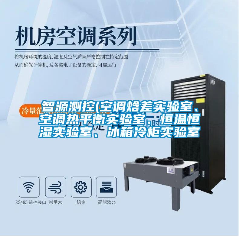 智源測控(空調焓差實驗室、空調熱平衡實驗室、恒溫恒濕實驗室、冰箱冷柜實驗室