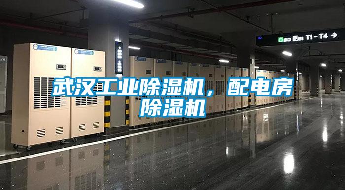 武漢工業(yè)除濕機(jī)，配電房除濕機(jī)