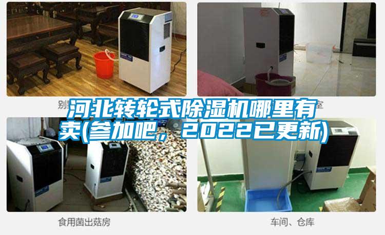 河北轉(zhuǎn)輪式除濕機(jī)哪里有賣(參加吧，2022已更新)