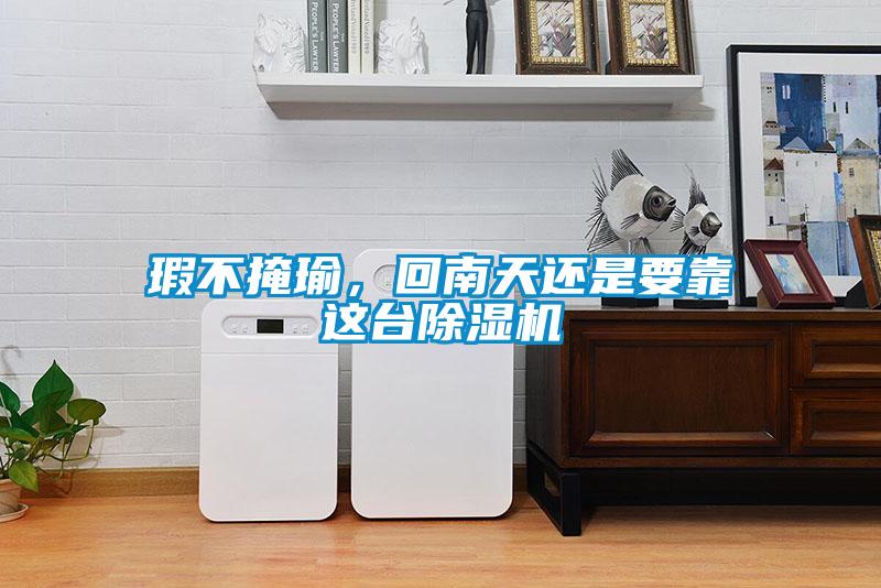 瑕不掩瑜，回南天還是要靠這臺除濕機