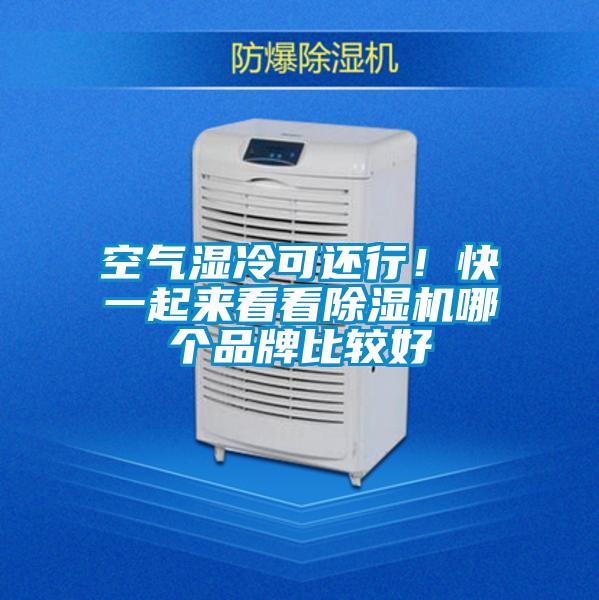 空氣濕冷可還行！快一起來看看除濕機(jī)哪個(gè)品牌比較好